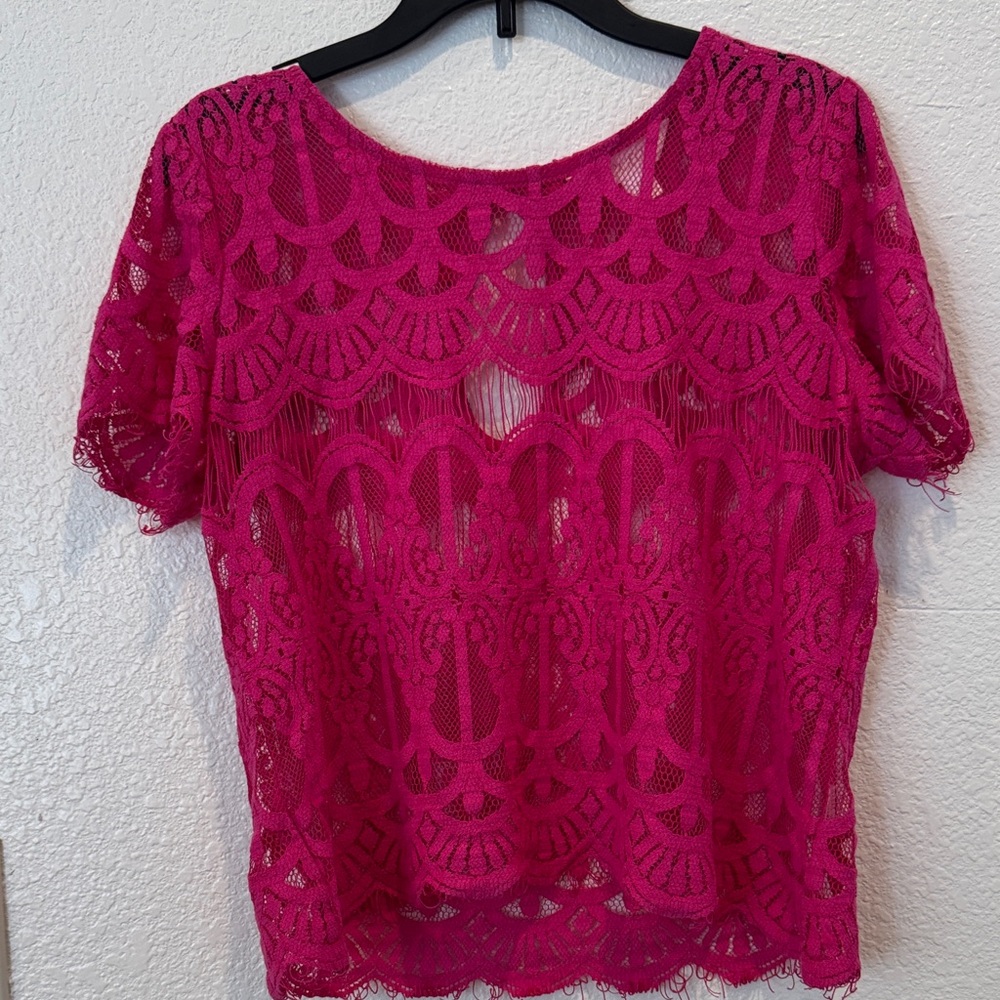 Decree Pink Cropped Embellished Blouse
